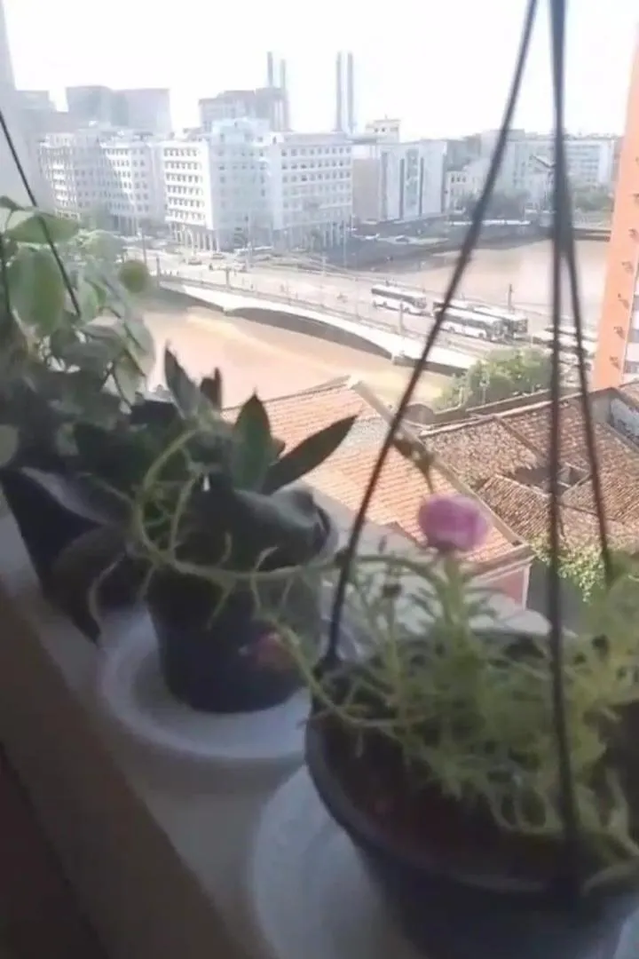 Apartamento Na Rua Da Aurora, 1 Quarto, No Coracao Do Ресифи